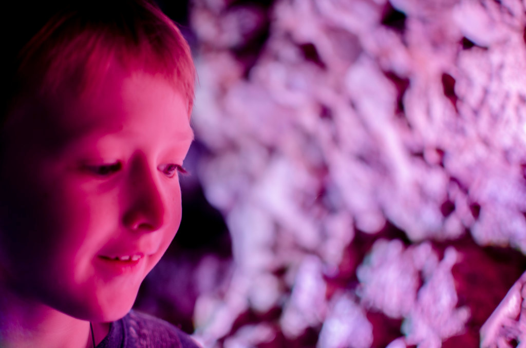 Bokeh - Eldest Son - Cave