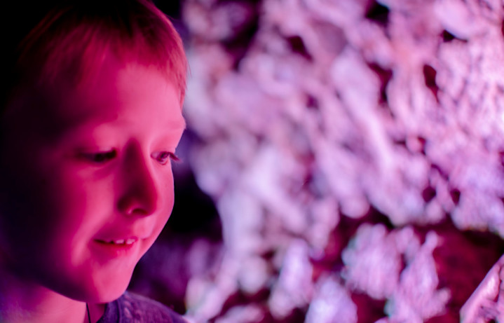 Bokeh - Eldest Son - Cave