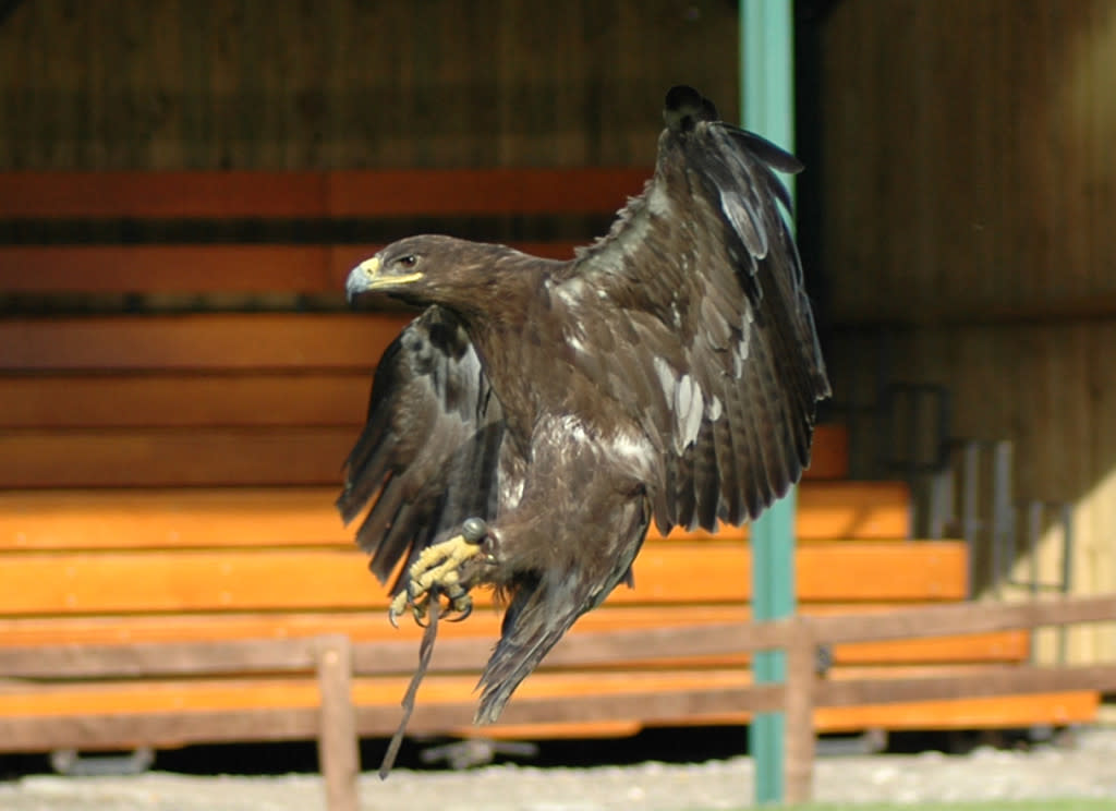 Landing