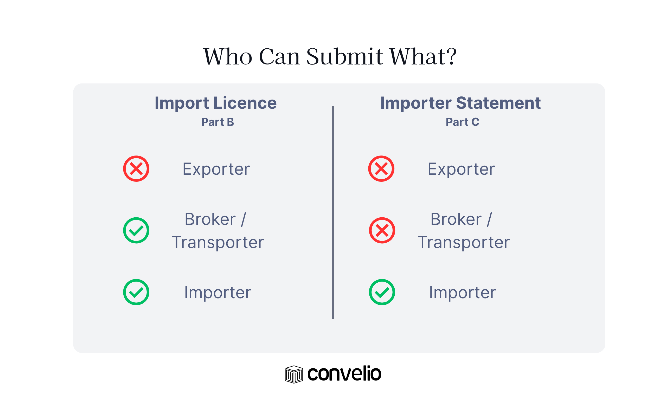 EU Import Licence Rules Who can submit? 2025