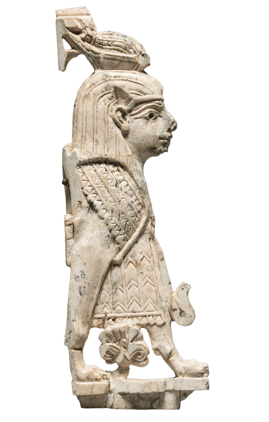 Convelio - Exceptional customs illustration