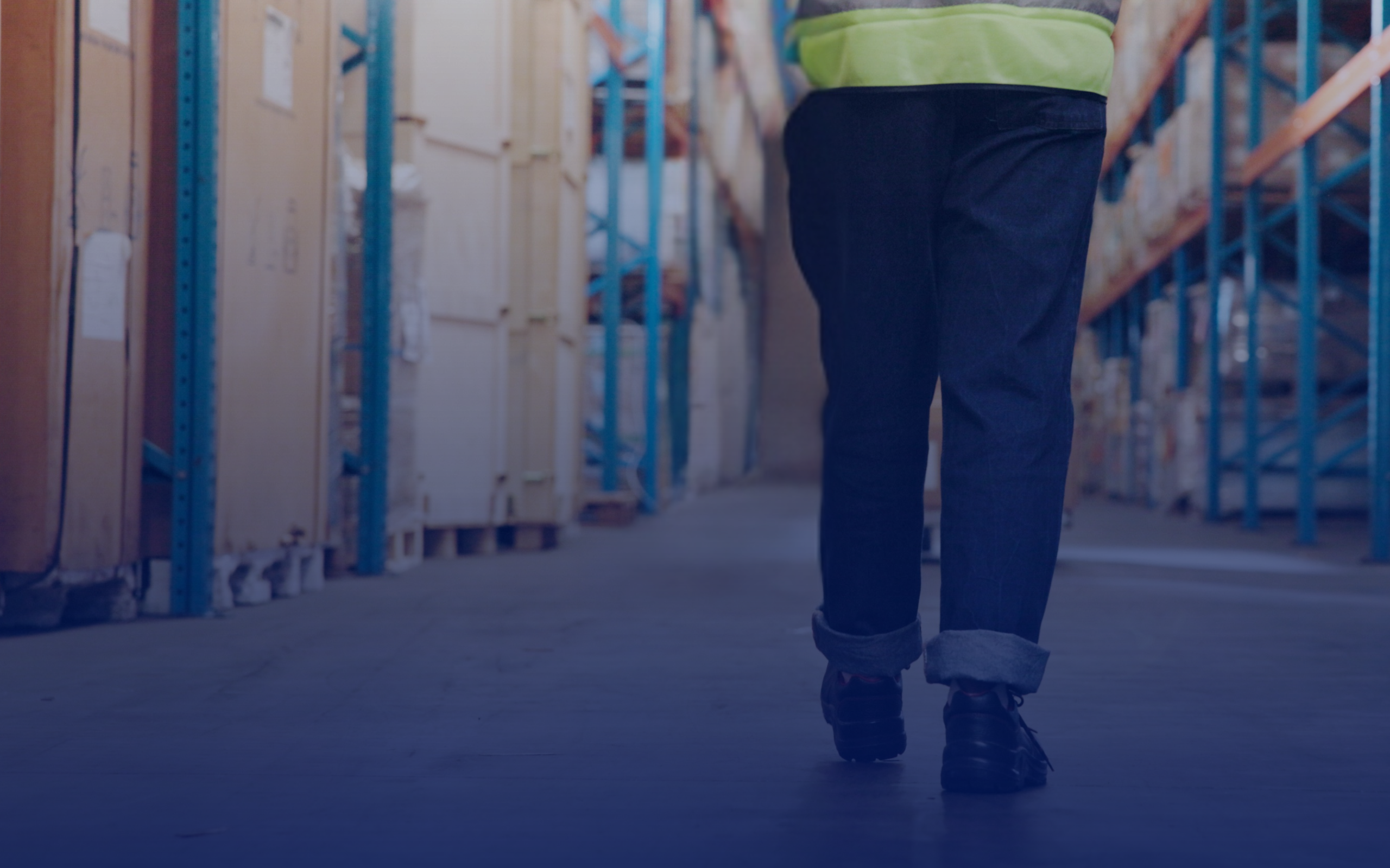 Convelio Fine Art Warehouse Security 