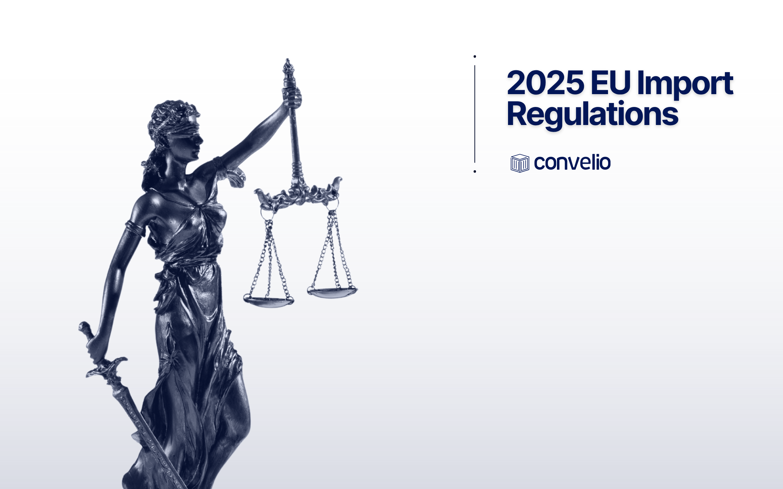 2025 EU Import Regulations by Convelio