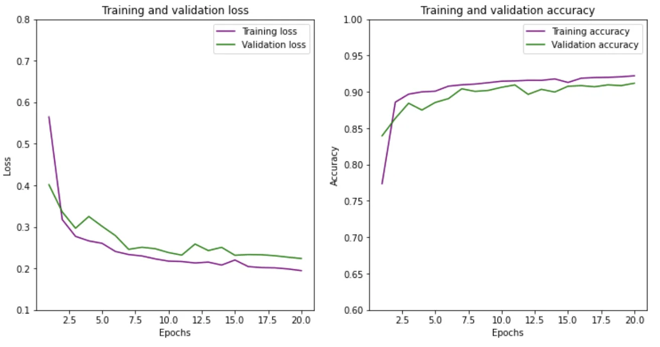 Learning curves from training and validating the model.