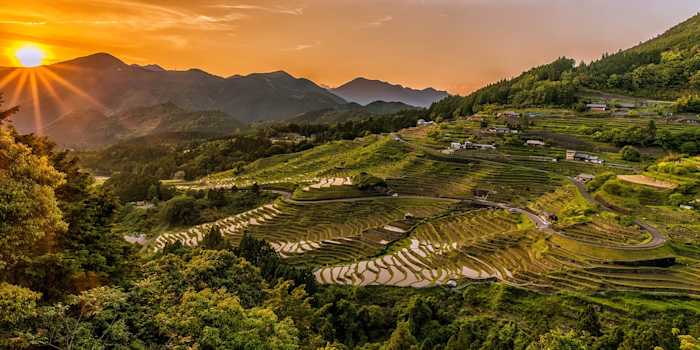 vietnam-aldea-lao-chai-terrazas-arroz