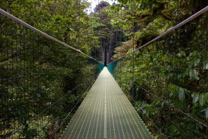 Puente colgante en Costa Rica