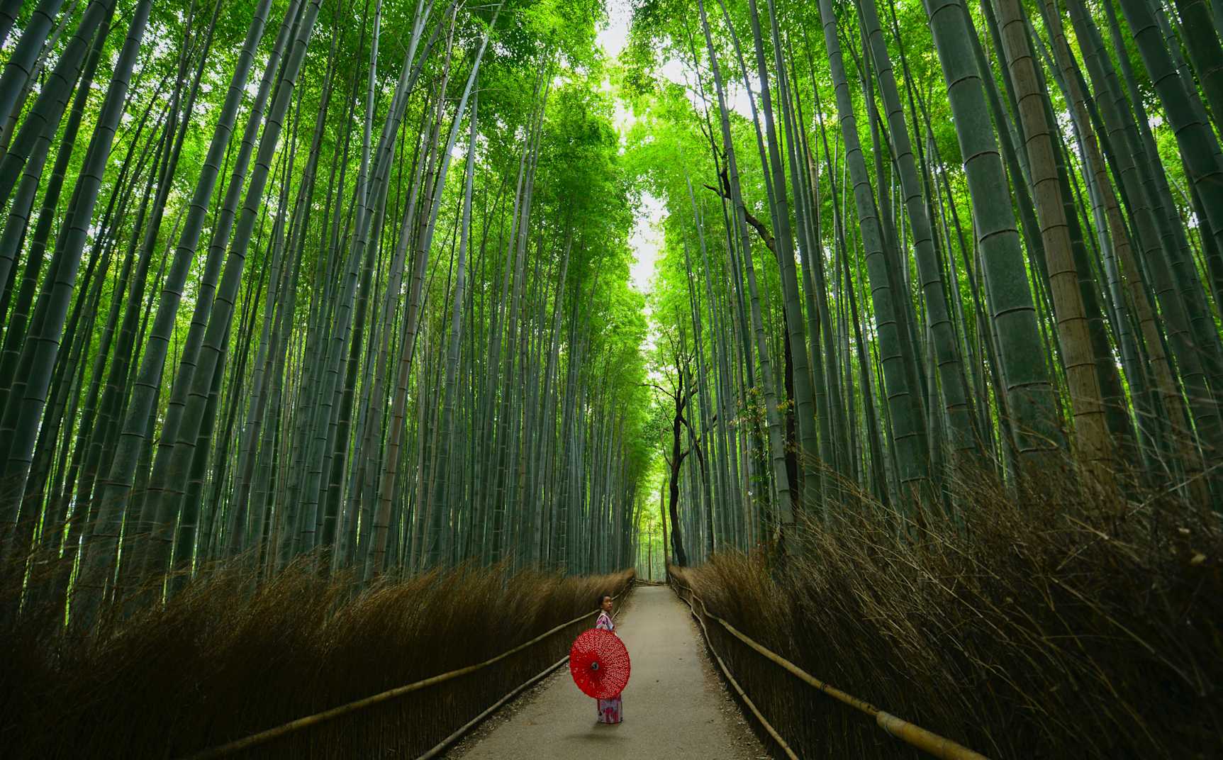 japan-kyoto 6