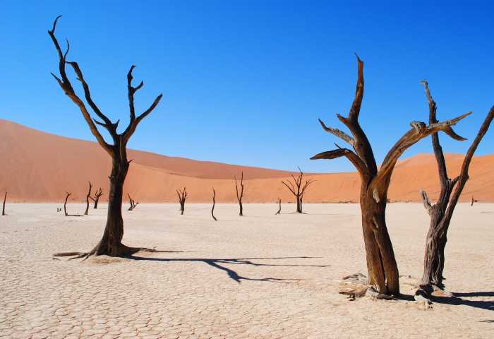 Deadvlei en Namibia Deadvlei en Namibia