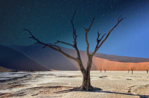 Deadvlei en Namibia