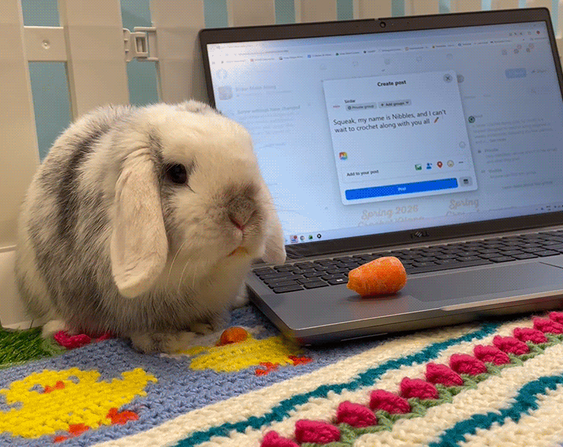 Landing-Page-Step-3-GIF-Nibbles