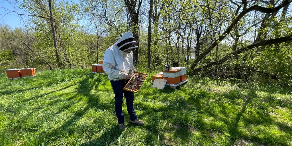 A Business Meant to Bee