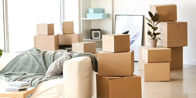 Stacked cardboard moving boxes in a bright living room with a couch, plant, and shelving visible in the background.