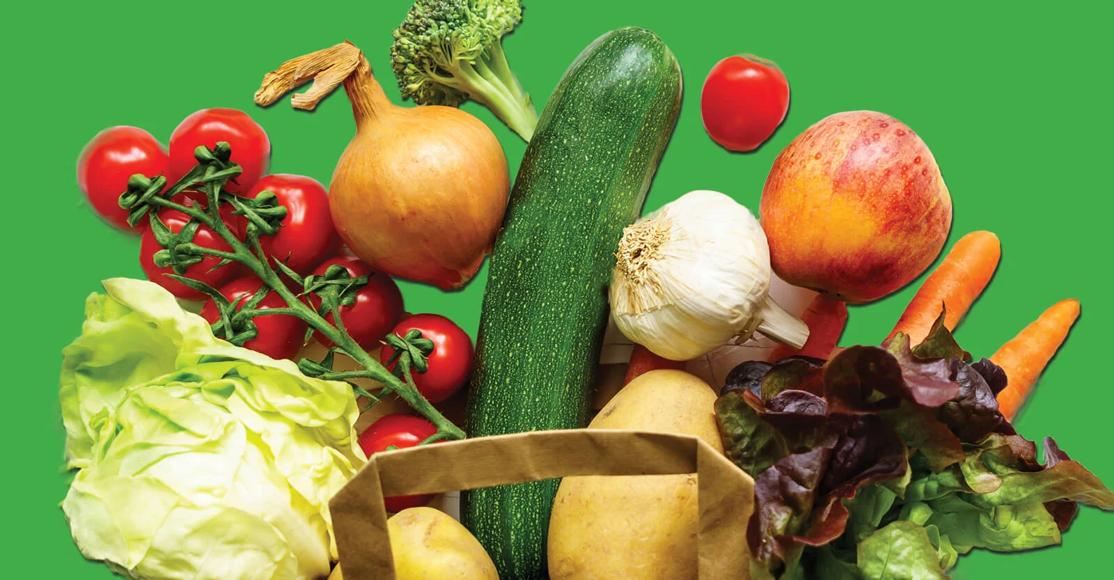 Fresh vegetables including tomatoes, zucchini, broccoli, onion, garlic, potatoes, carrots, and lettuce on a green background.