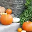 Fall Decor Farmers Market