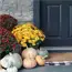 Fall Decor Rug