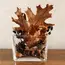 Fall Decor Natural Decor