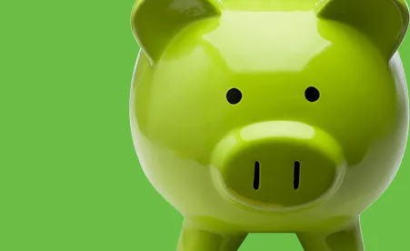 Piggy Bank on green background
