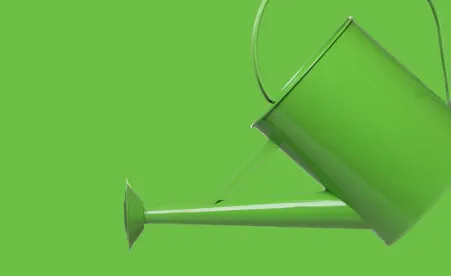 Green watering can on green background