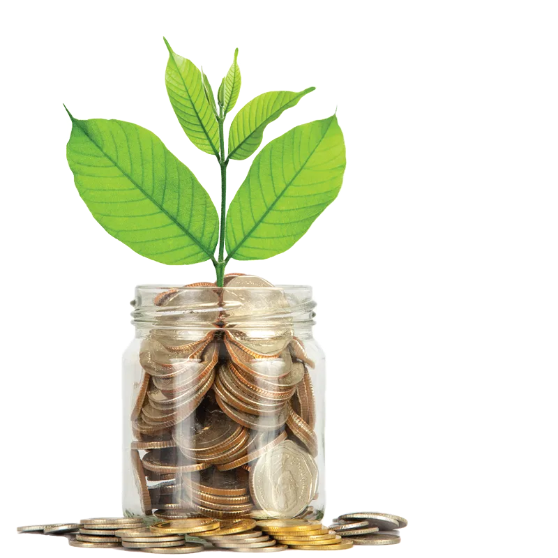 Financial Wellness Subpage
