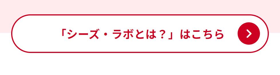 求人・採用情報 - Image 13 - ci-z.com - ja-JP