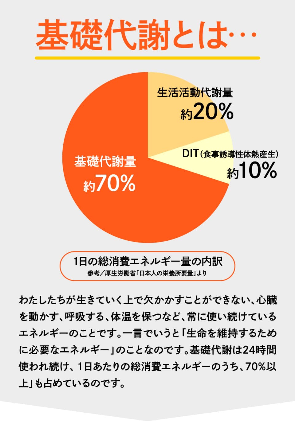 お腹徹底ボディメイクコース - Image 14 - ci-z.com - ja-JP