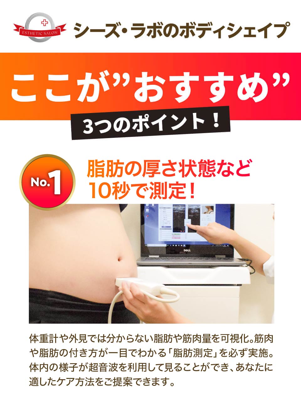 プロシェイプ シーズラボ エステティック プロフェッショナルユース