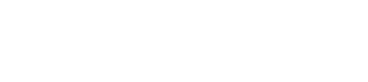 Transformational Leadership