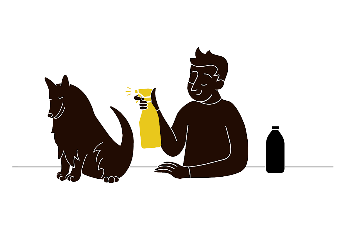 a pet parent spraying their pet with vinegar
