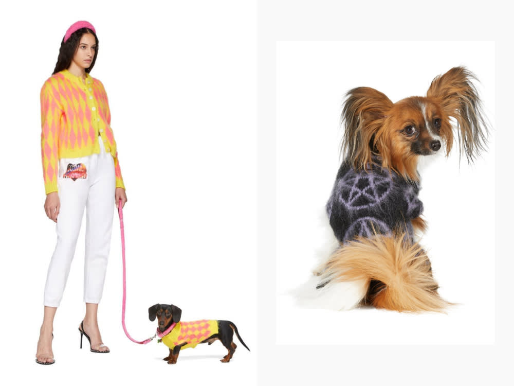 ashley williams matching human/dog sweaters