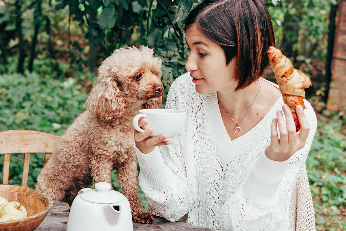 person eating next to dog