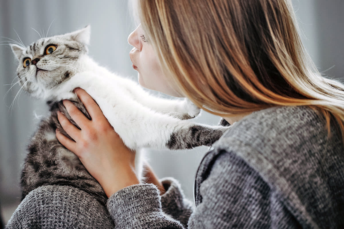 person trying to kiss a cat