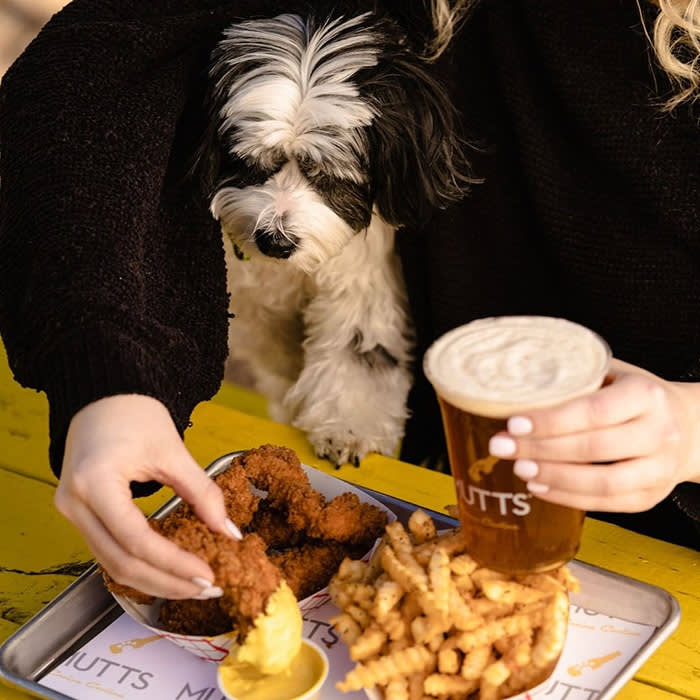 a black and white dog sitting with french fries at Mutts Canine Cantina