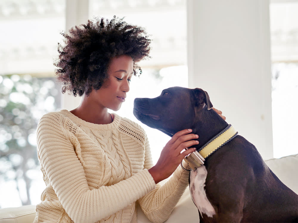 Shot of an attractive young woman petting her dog while sitting on the sofa at home.