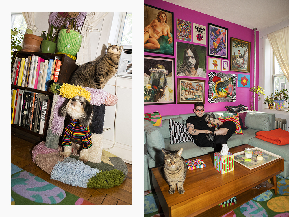 Zoe Schlacter's dog, Zoe Schlacter with their cat