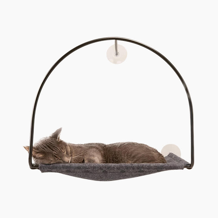 tuft and paw cat hammock