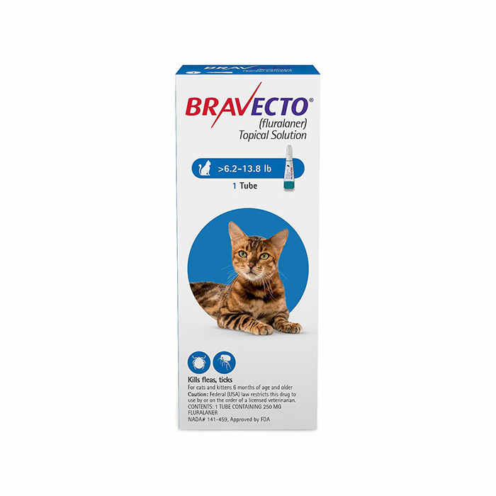 Best flea tick 2025 treatment for cats