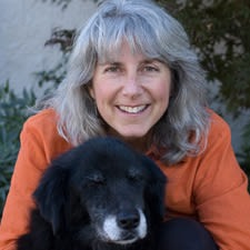 Nancy Kay Author