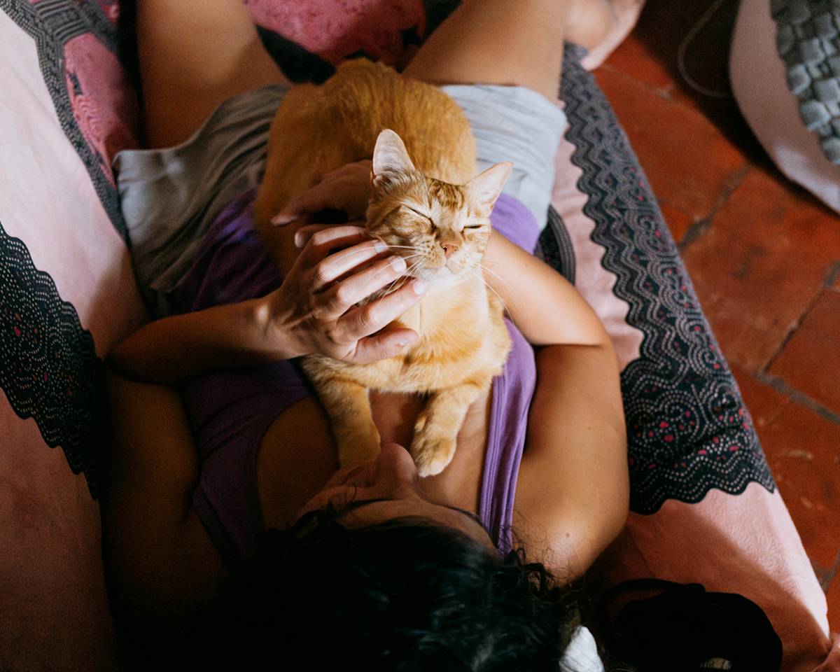 Orange Cat Resting On Woman's Chest On Pink Sofa