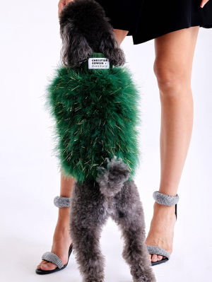 A fluffy gray dog wearing a green fluffy sweater designed by Christian Cowan and Maxbone jumping up on the legs of a high-heeled stylish model