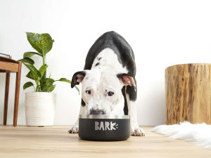 A dog eating food out of a dog bowl labeled "Bark" 