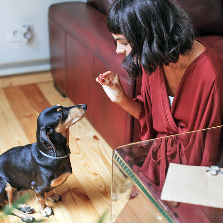 Woman giving dog a vitamin.
