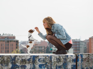 Young blonde woman with a Jack Russell puppy during spring in the city.