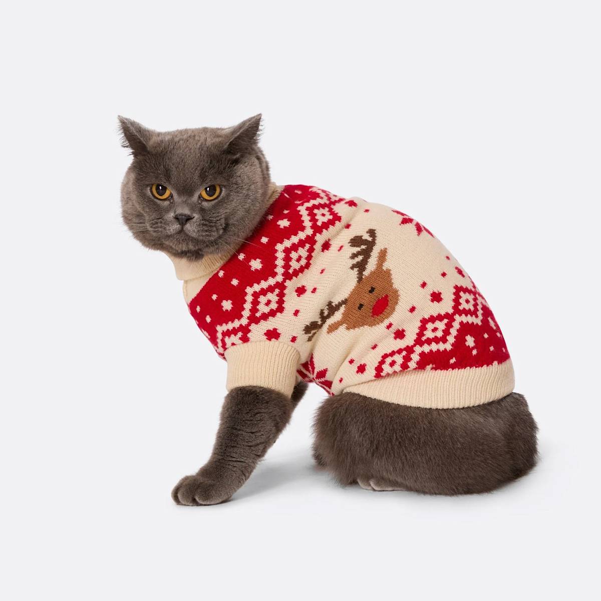 cat reindeer christmas jumper