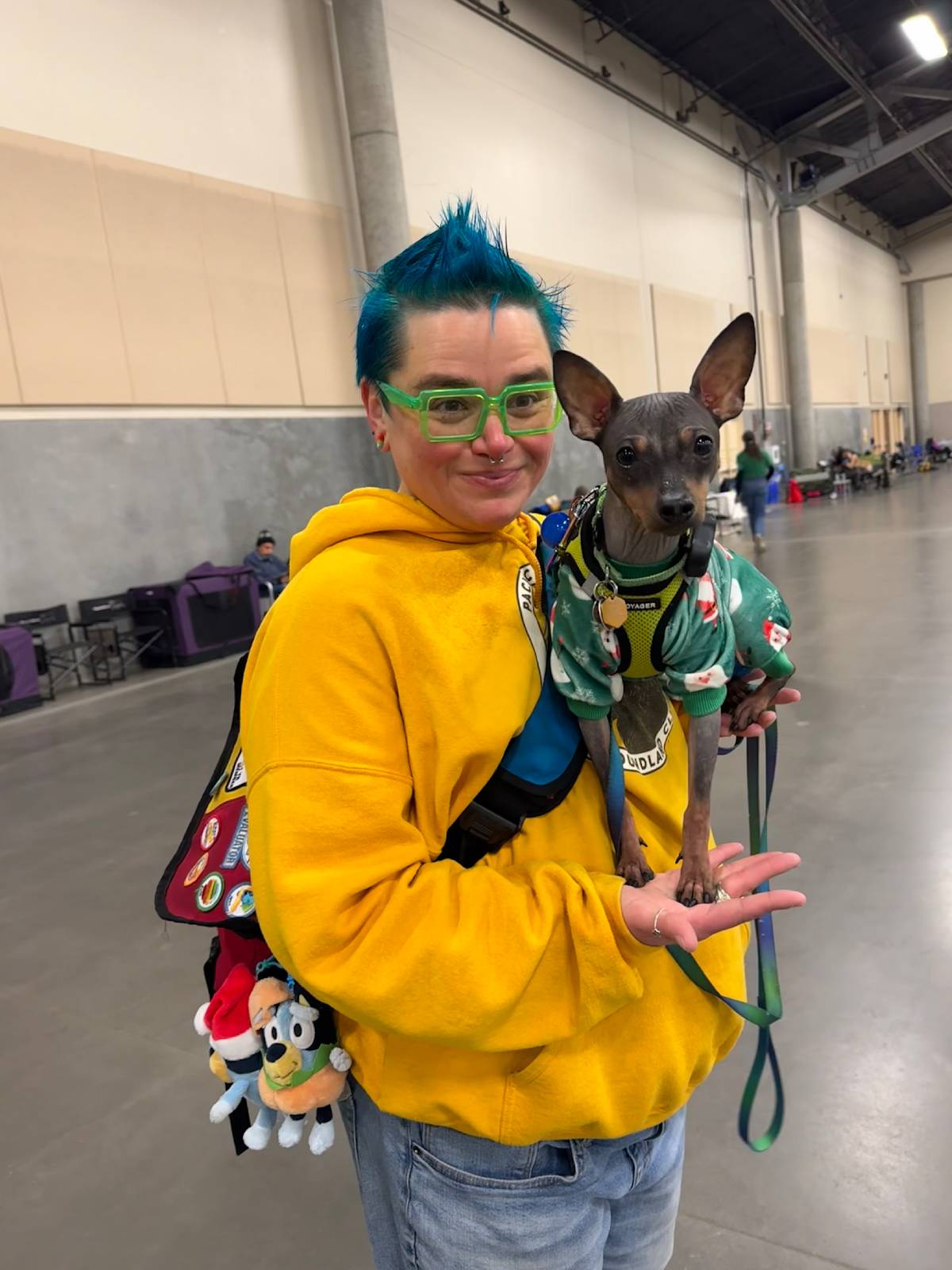 sassafras patterdale holding a dog