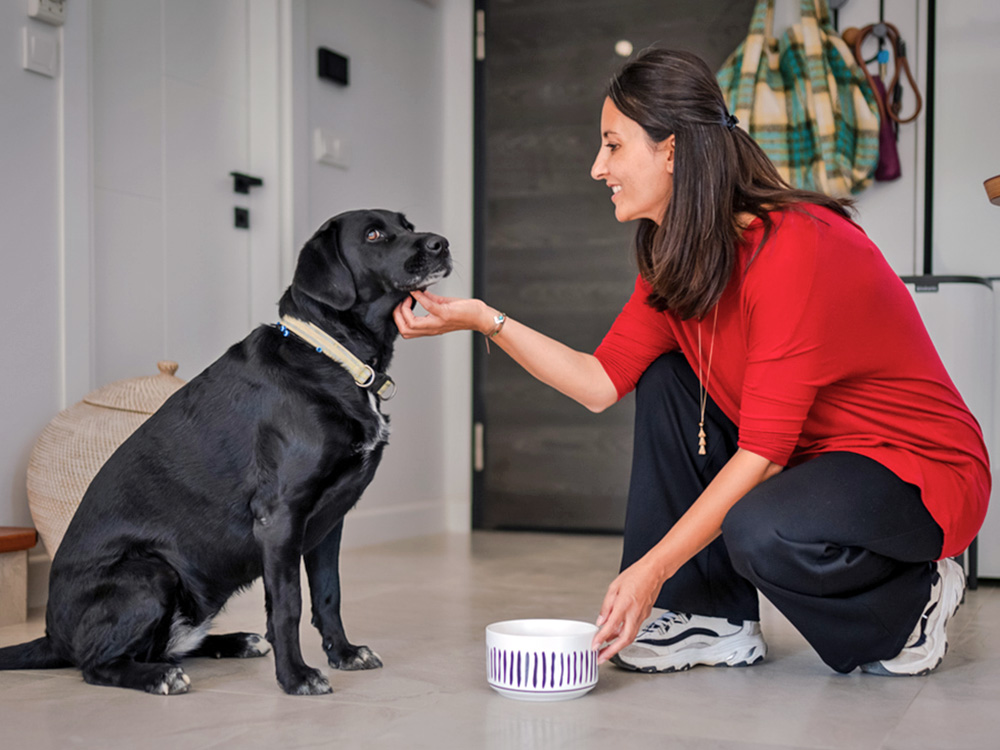 Woman feeding her black dog at home.