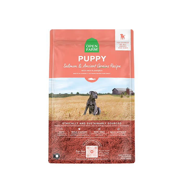 Salmon & Ancient Grains Puppy Food