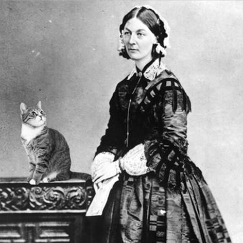 Florence Nightingale with a cat