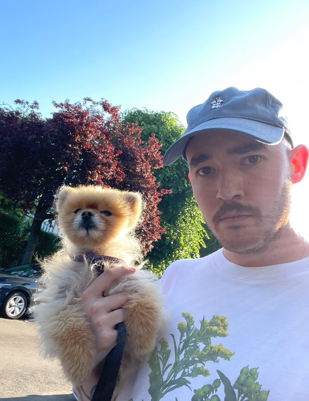 Man and dog