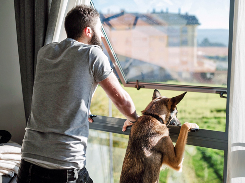 Man looking out the window with his German Shepherd dog at home.