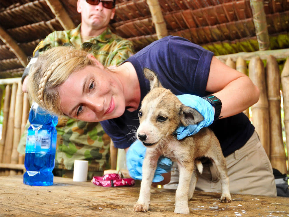 World Vet treats abandoned puppy